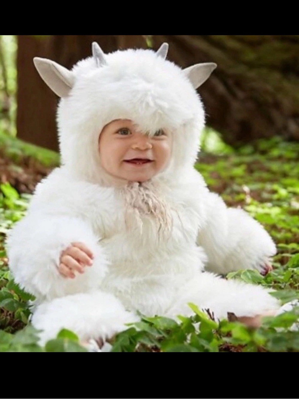Pottery Barn Kids woodland baby Billy goat Halloween costume size 6-12 Months